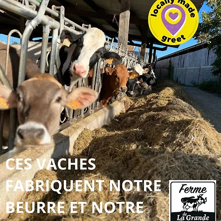 فندق Greet Angouleme 2*