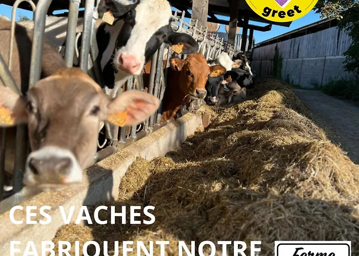 Hotel Greet Angouleme 2*